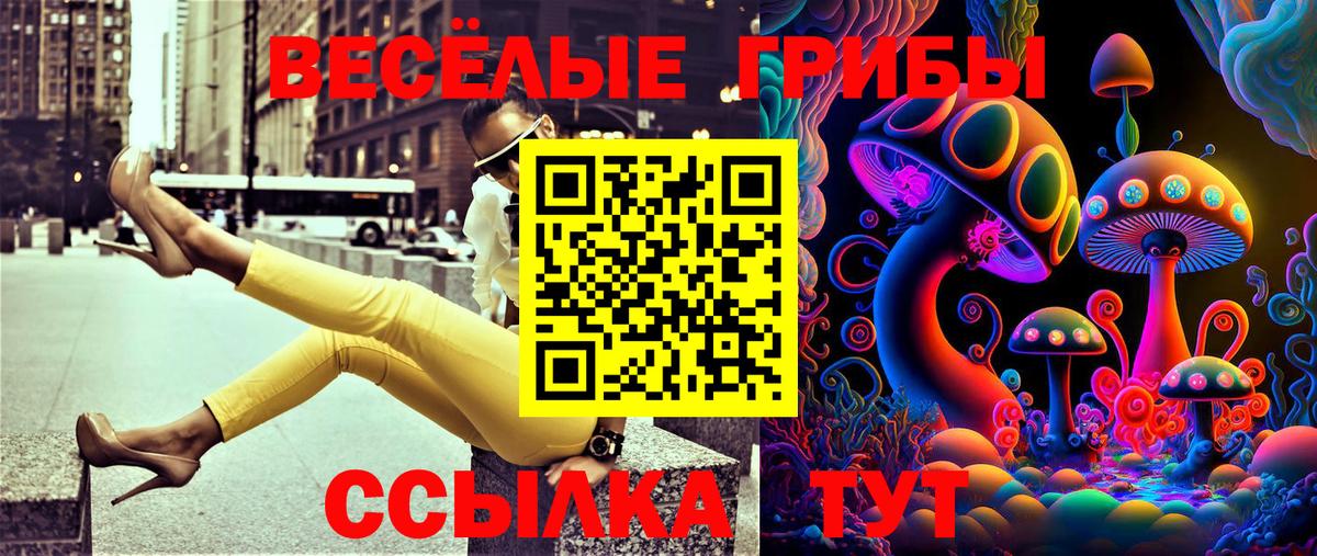 Галлюциногенные грибы прущие грибы  Вход с VPN  Орск  Псилоцибиновые грибы GOLDEN TEACHER 